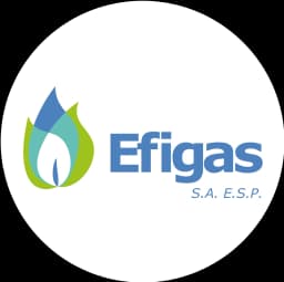 Efigas Gas Natural